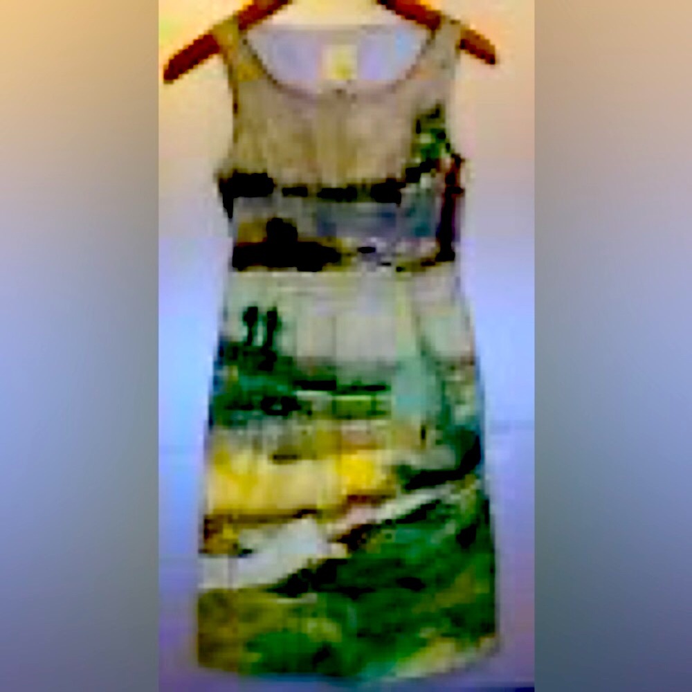 COPY - Odille Artist Rendering Landscape dress from Anthropologie.